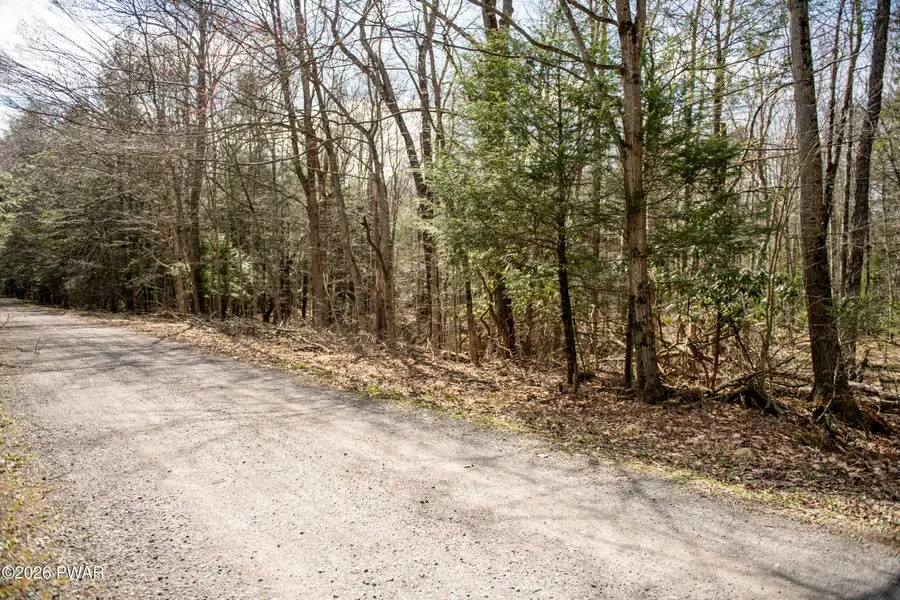 Rocky Swamp Rd 40, Pocono Lake, PA 18347 - #3
