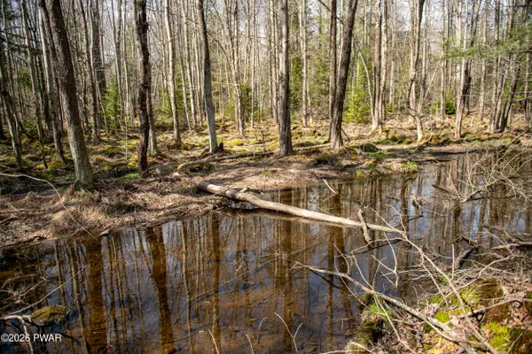 Rocky Swamp Rd 39, Pocono Lake, PA 18347