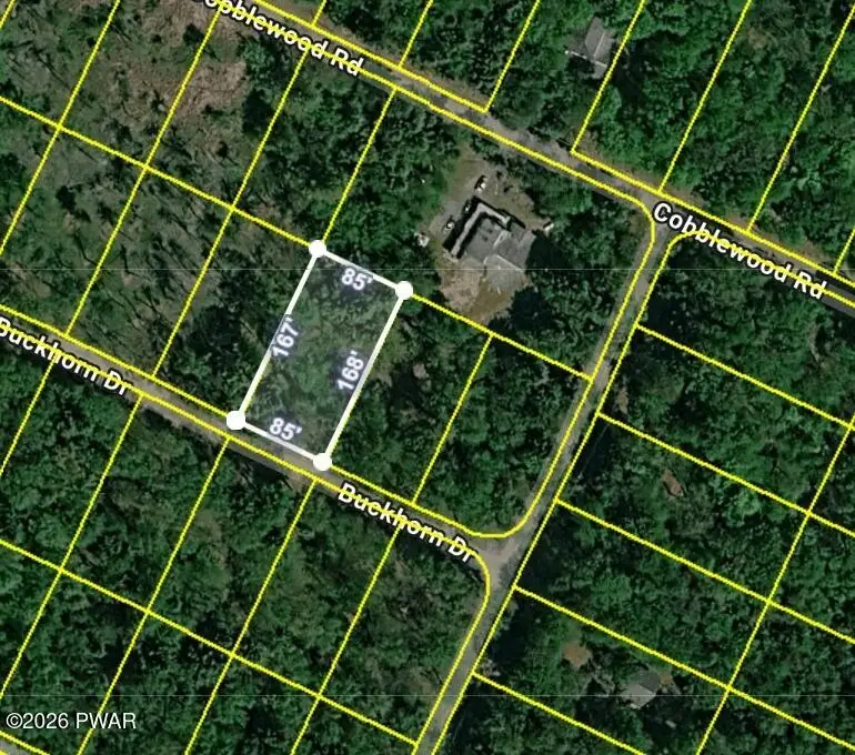 Lot 5 Buckhorn Drive, Newfoundland, PA 18445 - #1