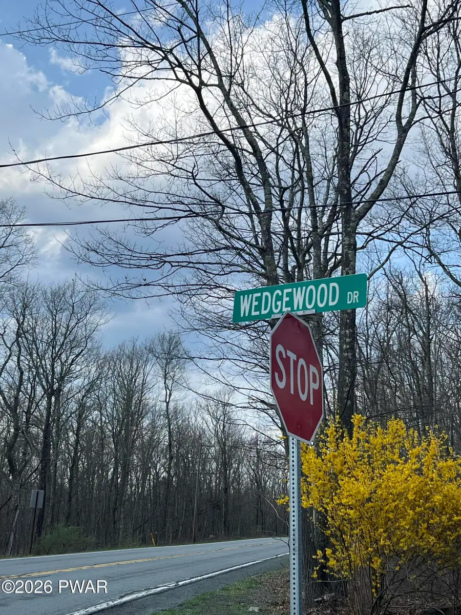 134 Wedgewood Drive, Blooming Grove, PA 18428 - #3