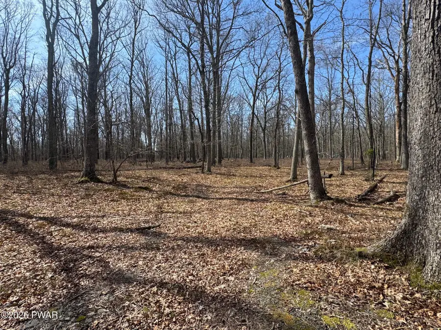 157 Mountain Top Road, Lackawaxen, PA 18435 - #3