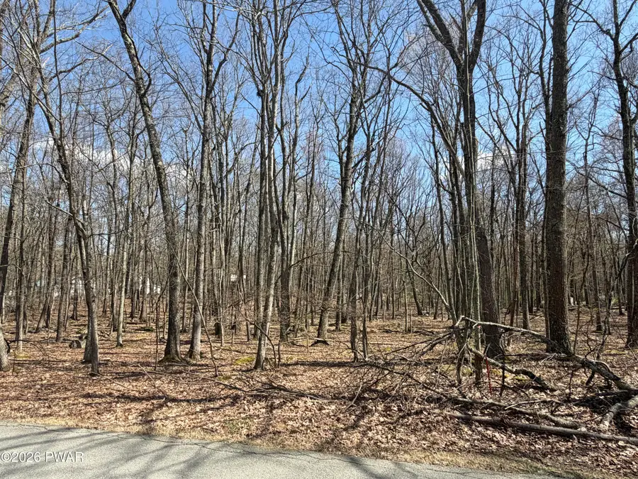 Lot 247 Cottonwood Drive, Hawley, PA 18428 - #2
