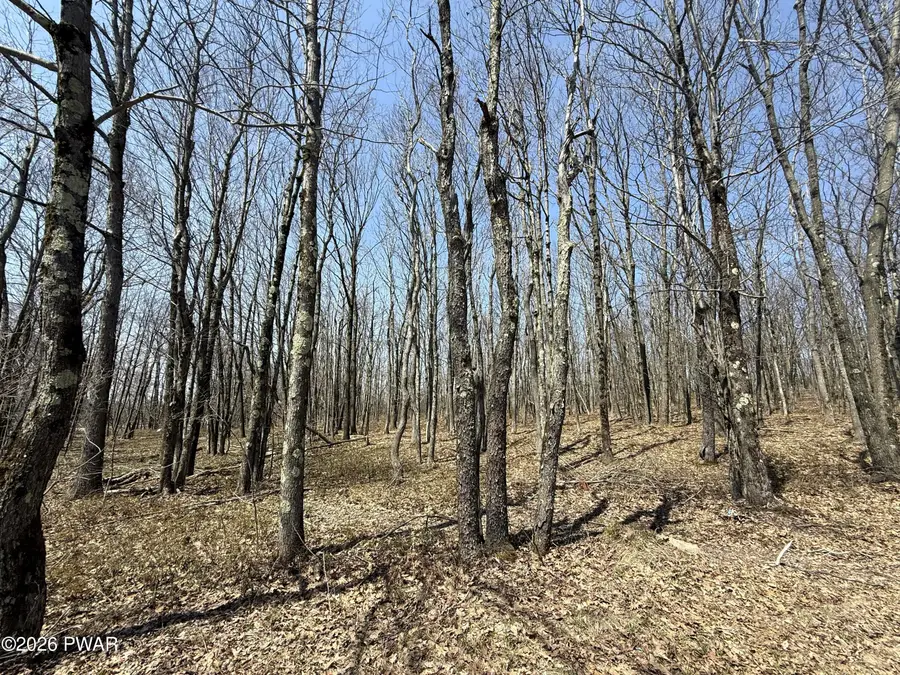 Salem Mountain Road, Carbondale, PA 18407 - #2