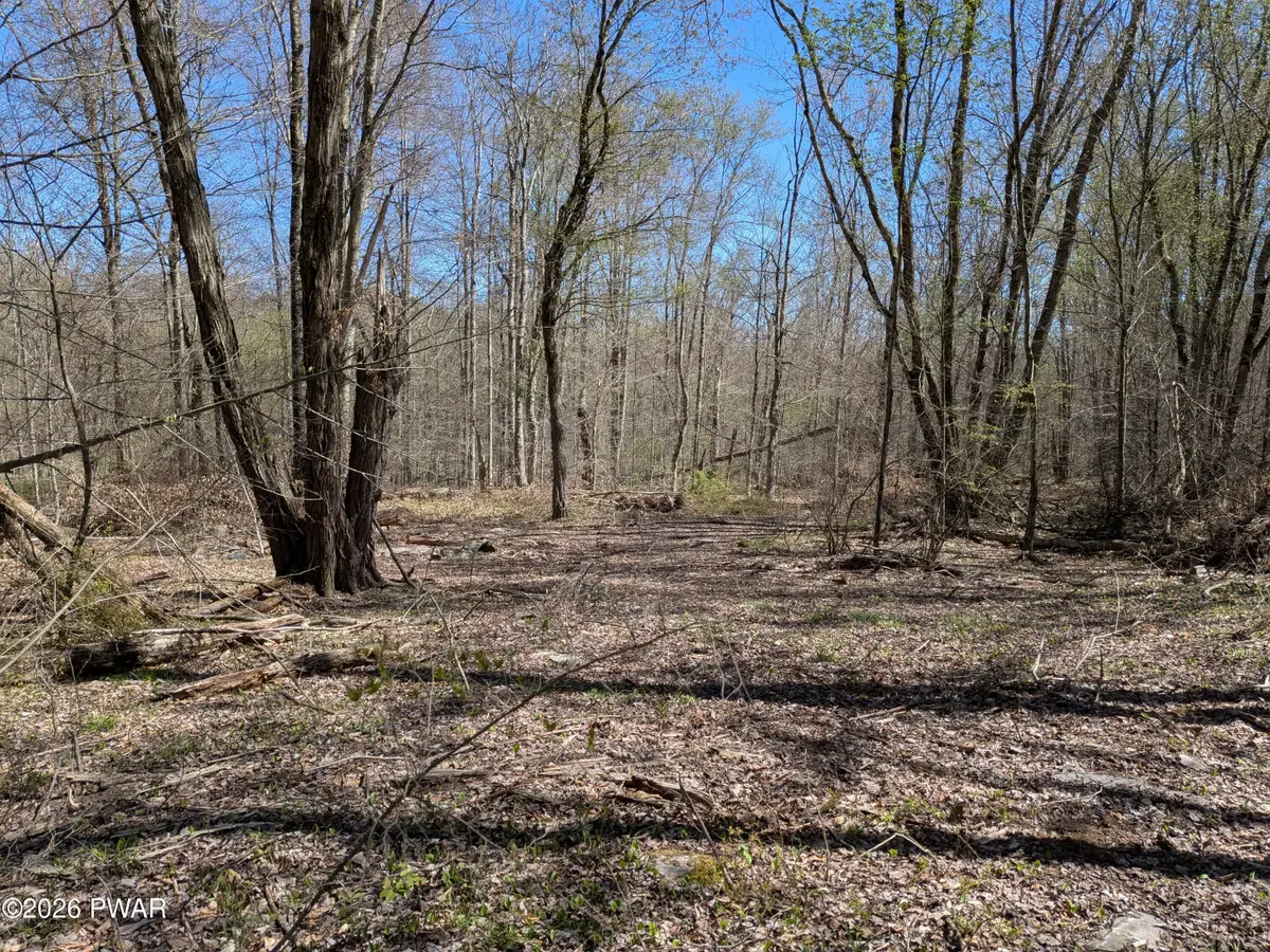 1186A Owego Turnpike, Honesdale, PA 18431 - #1