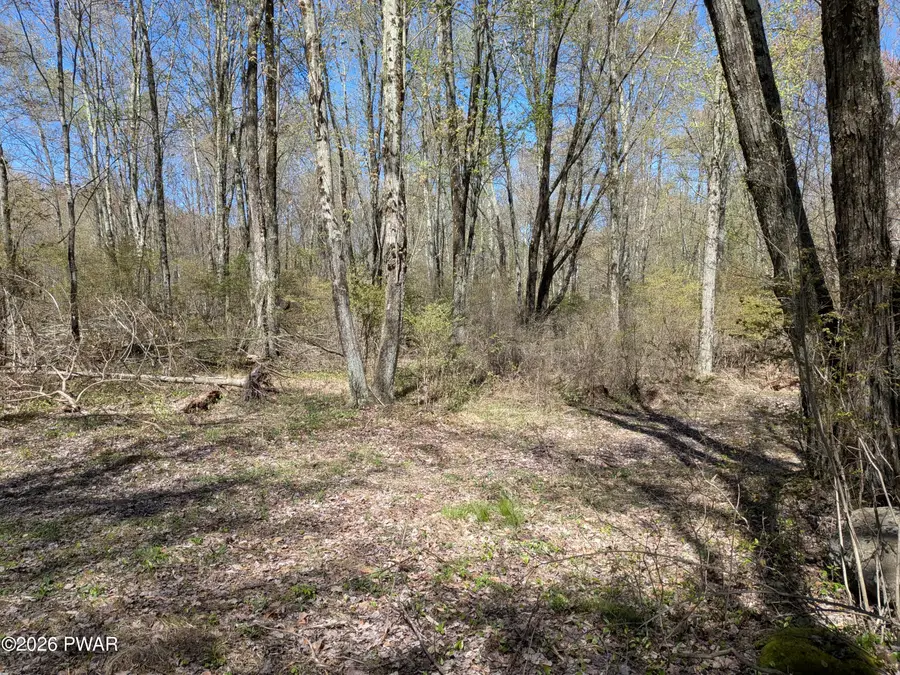 1186A Owego Turnpike, Honesdale, PA 18431 - #3