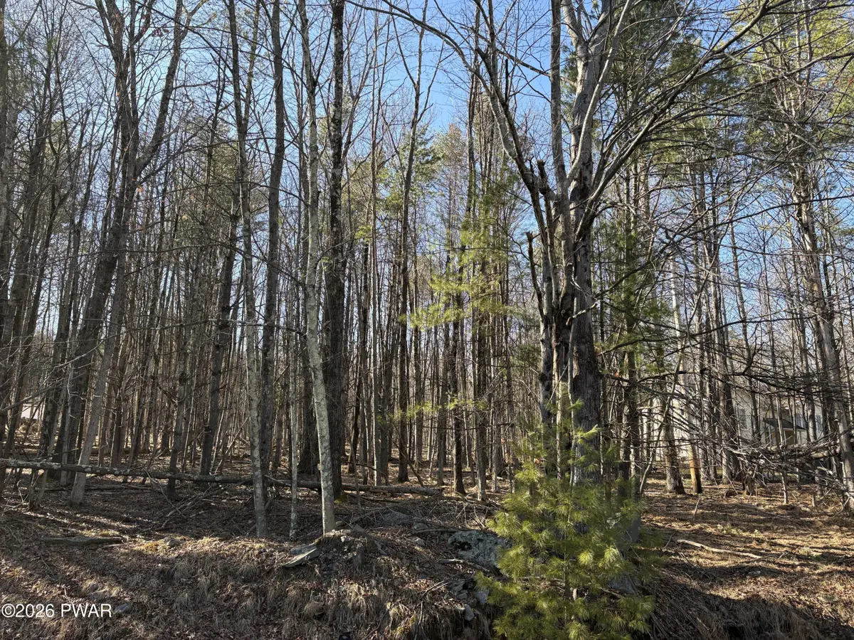 Lot 983 Winterberry Drive, Milford, PA 18337 - #1
