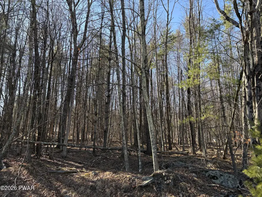 Lot 983 Winterberry Drive, Milford, PA 18337 - #2