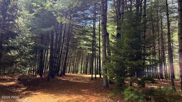 Lot 20 White Road, Glen Spey, NY, NY 12737