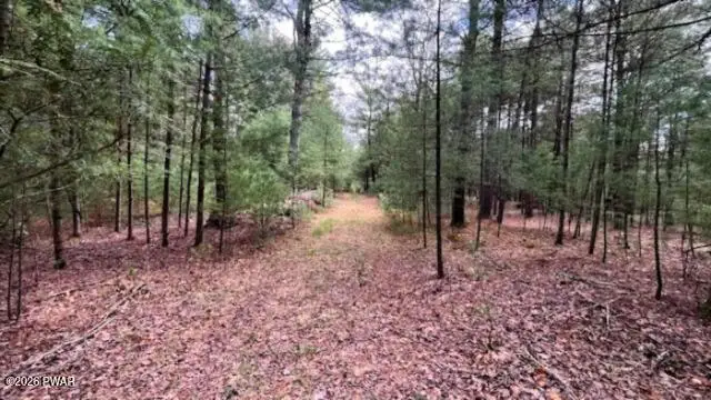 Lot 20 White Road, Glen Spey, NY 12737 - #3