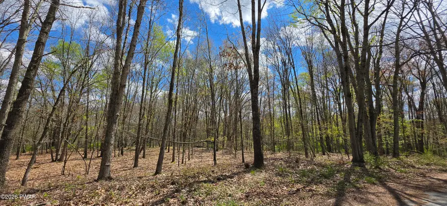 Lot 17.14 Skipperene Road, Cochecton, NY 12726 - #2