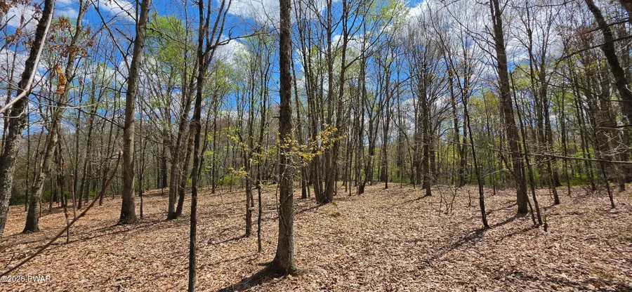 Lot 17.14 Skipperene Road, Cochecton, NY 12726 - #3