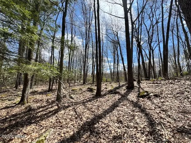Butternut Lane, Greentown, PA 18426 - #3
