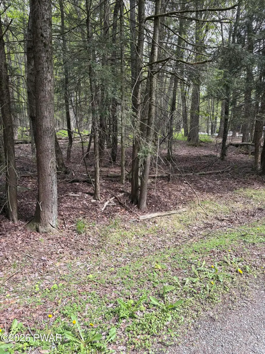 60 Arrowhead Circle, Newfoundland, PA 18445 - #2