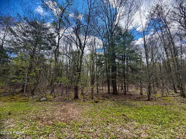 Pleasant Mount Drive, Forest City, PA 18421