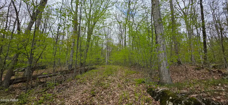 Lot 23.21 State Route 97, Tusten, NY 12764 - #2