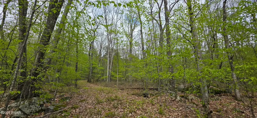 Lot 23.21 State Route 97, Tusten, NY 12764 - #3