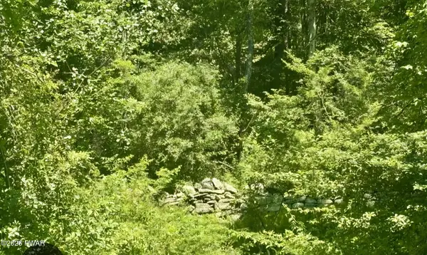 Lot 1 Owego Turnpike, Hawley, PA 18428