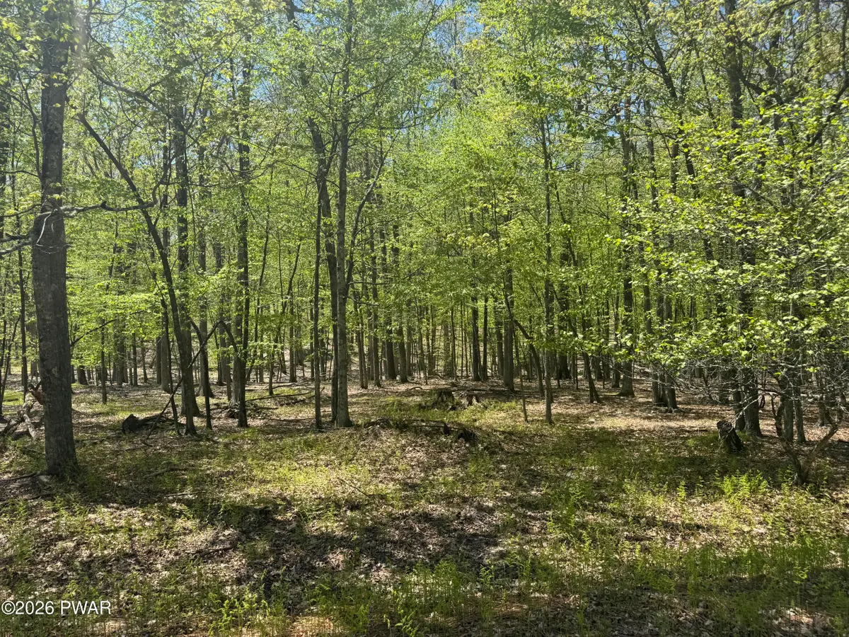 Lot # 184 Cottonwood Drive, Hawley, PA 18428 - #1