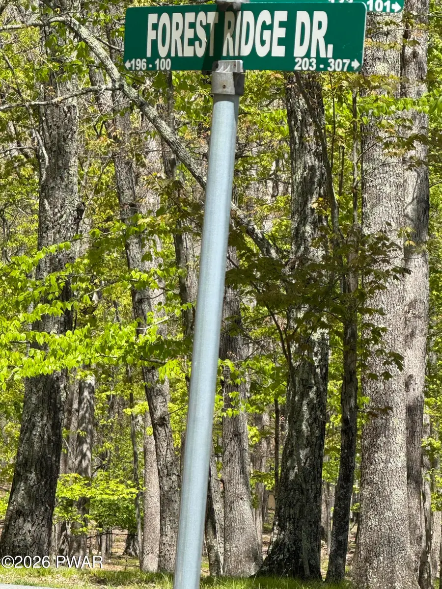 Lot # 90 Forest Ridge Drive, Hawley, PA 18428 - #3