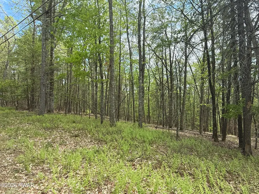 Lot 447 Eastwood Circle, Lackawaxen, PA 18428 - #3