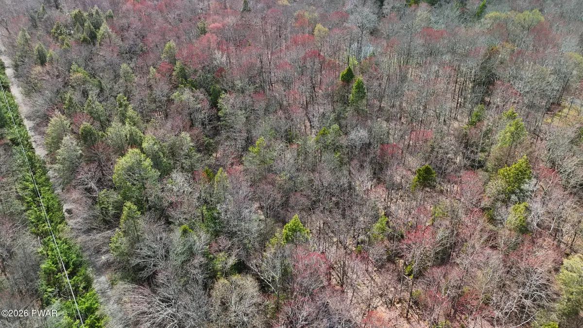 39 and 40 Rocky Swamp Rd 39, Pocono Lake, PA 18347 - #1