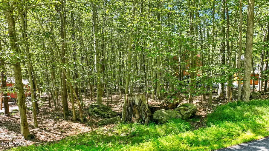 22 Wedge Drive, Lake Ariel, PA 18436 - #2