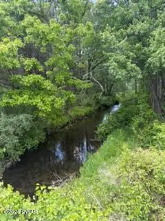 Emery Road, Dingmans Ferry, PA 18328 - #1