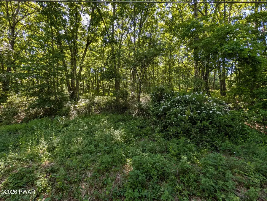 Lot166&167 Rockledge Road, Dingmans Ferry, PA 18328 - #3