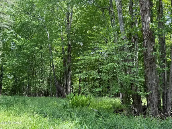 Dixon Valley Road, Pleasant Mount, PA 18453