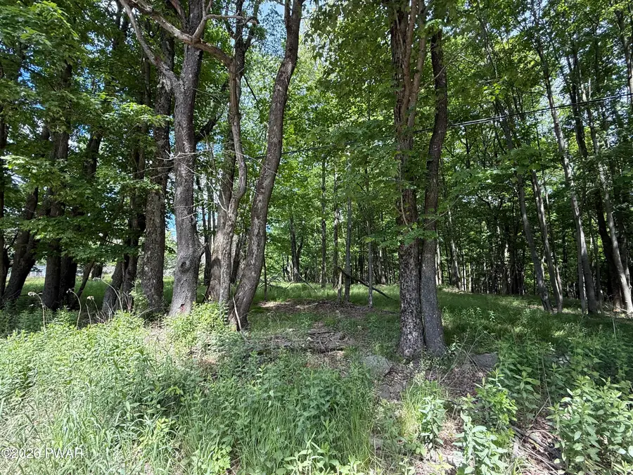 Dixon Valley Road, Pleasant Mount, PA 18453 - #3