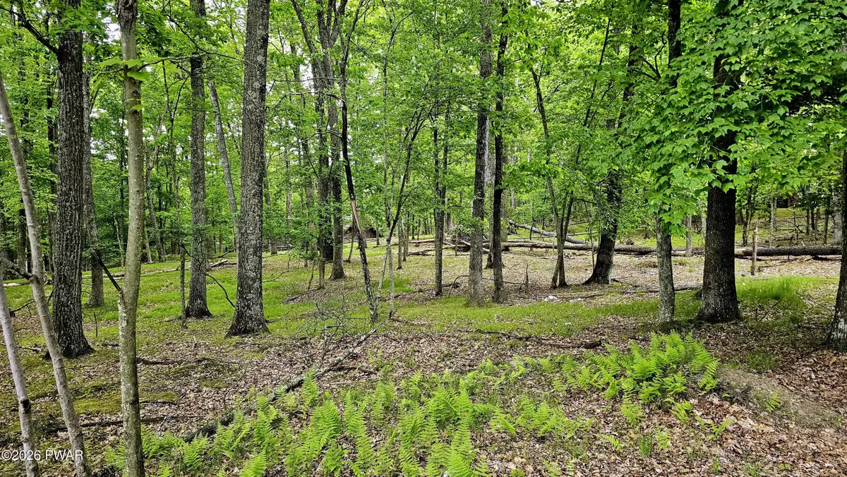 Lot 34 Westcolang Road, Hawley, PA 18428 - #1