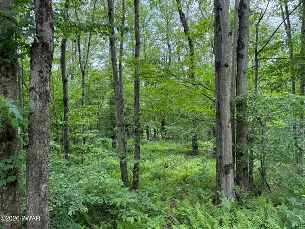 Beaver Hollow Road, Lakewood, PA 18439