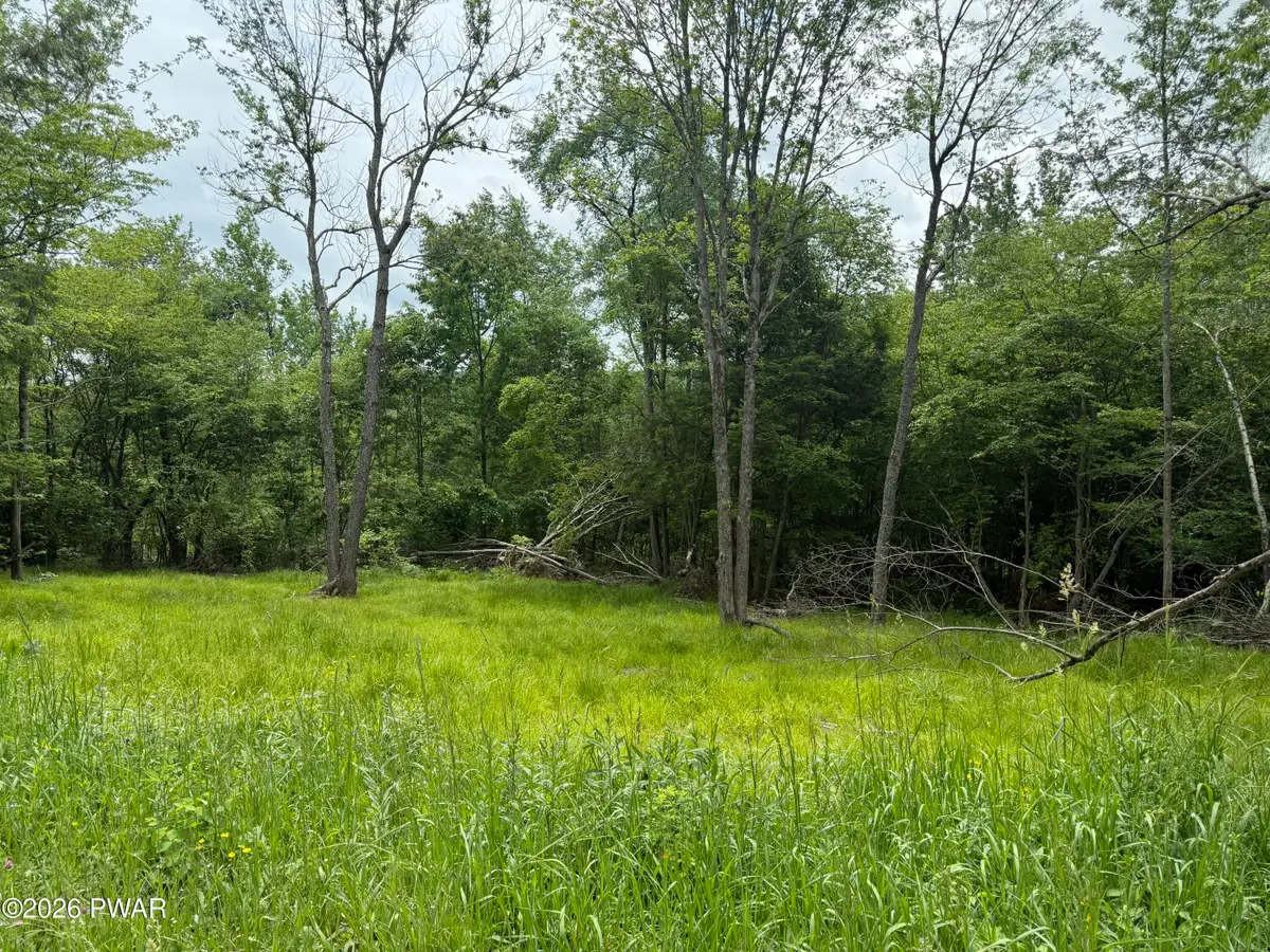 Beaver Hollow Road, Lakewood, PA 18439 - #1