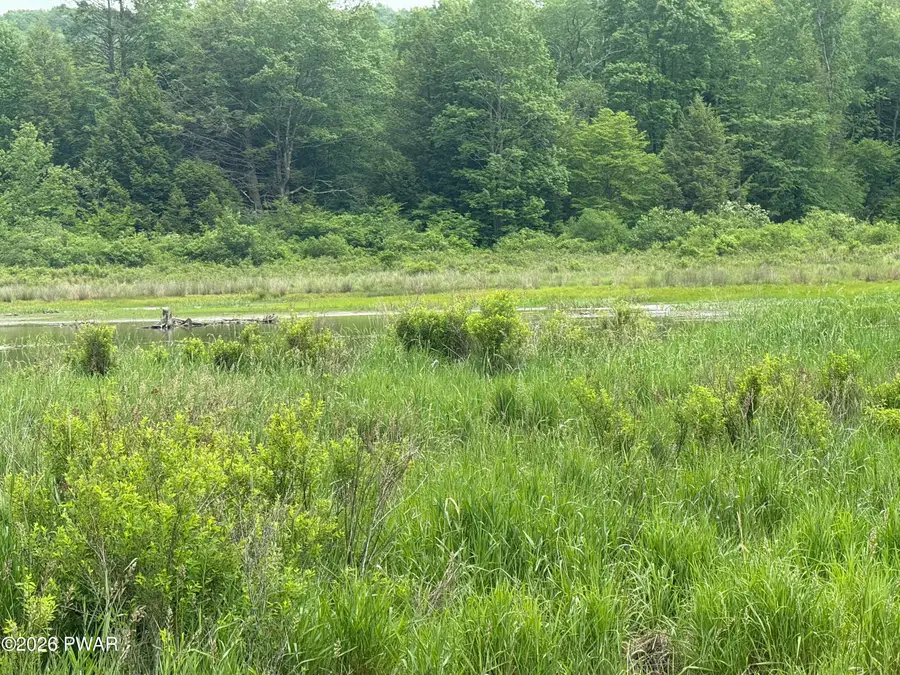 Beaver Hollow Road, Lakewood, PA 18439 - #3
