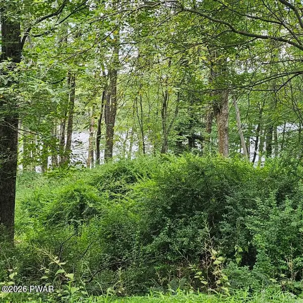 45 Lake Russell Road, Newfoundland, PA 18445