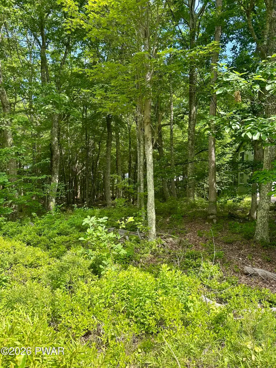 210 Maple Ridge Drive, Hawley, PA 18428 - #2