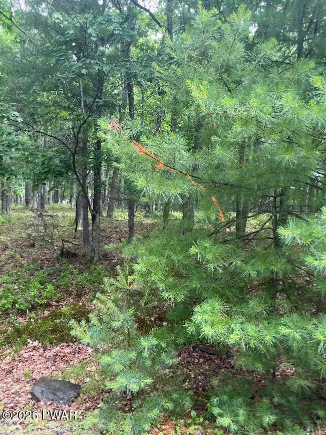 lot 13 Ledgecrest Road, Hawley, PA 18428 - #2