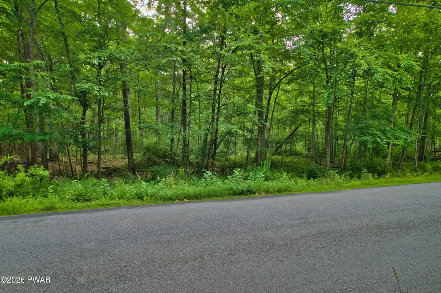 247 Water Forest Drive, Dingmans Ferry, PA 18328 - #2
