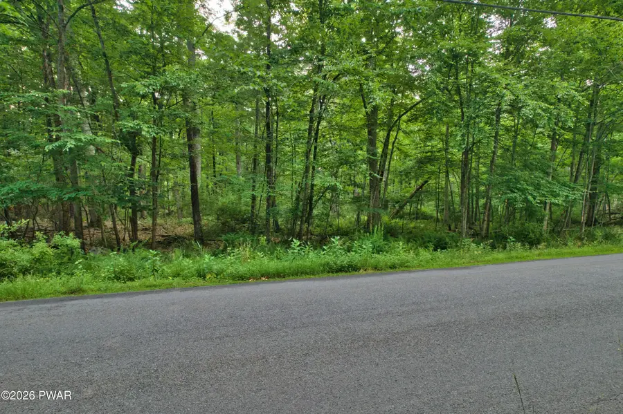 247 Water Forest Drive, Dingmans Ferry, PA 18328 - #3