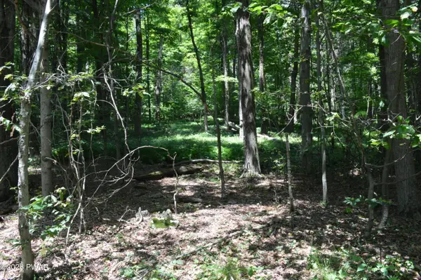 Akers Road, Newfoundland, PA 18445