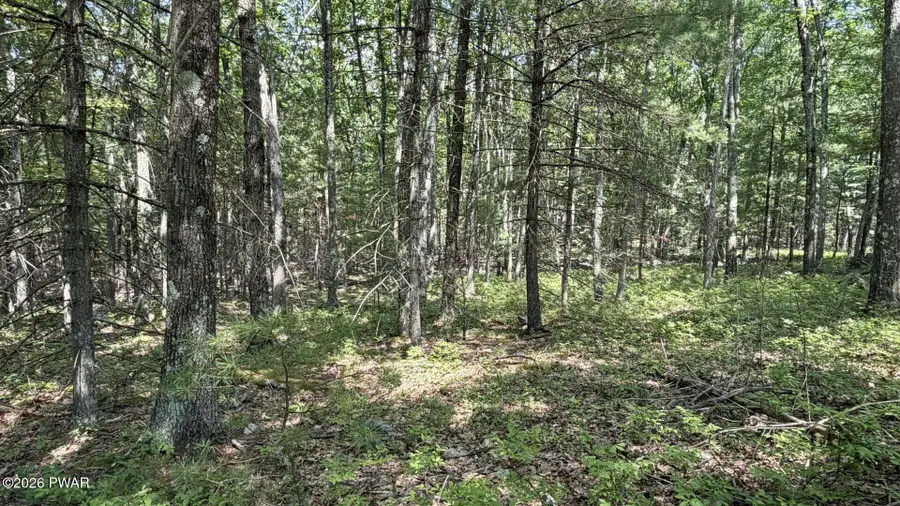 Lot 45 Soose Way, Tafton, PA 18464 - #3