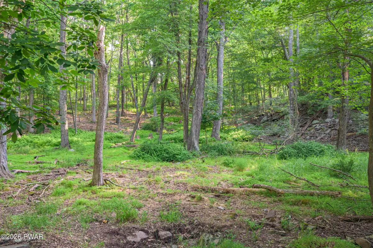High Ridge Ct, Dingmans Ferry, PA 18328 - #1