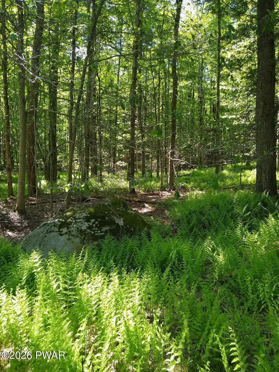 Pine Creek Road, Hawley, PA 18428 - #2