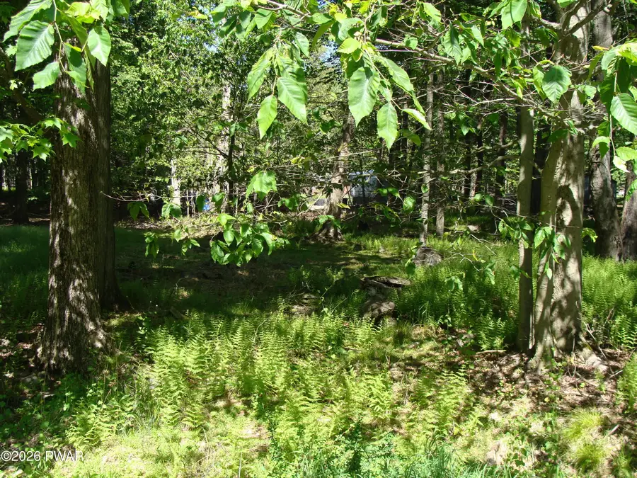 Navajo Path, Gouldsboro, PA 18424 - #2
