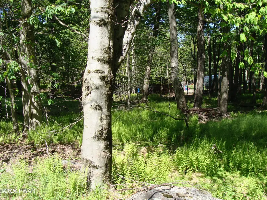 Navajo Path, Gouldsboro, PA 18424 - #3