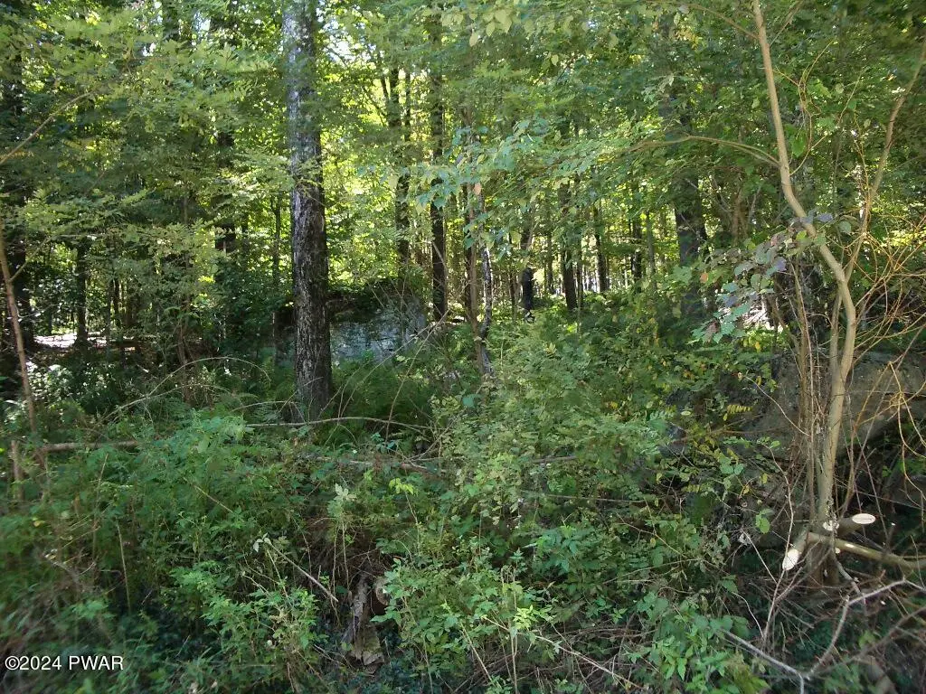Lot 3 Gilpin Road, Newfoundland, PA 18445 - #1