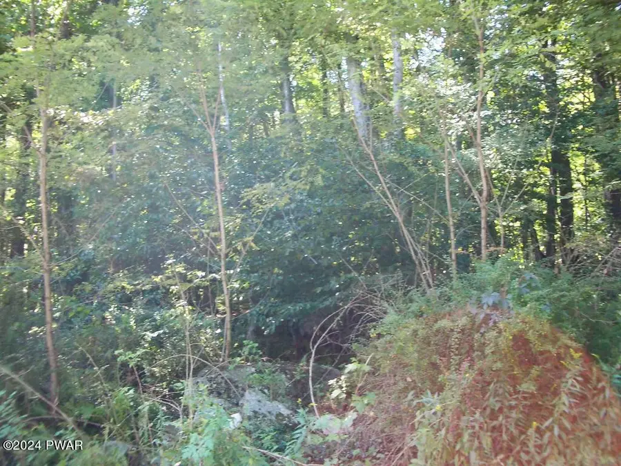 Lot 3 Gilpin Road, Newfoundland, PA 18445 - #3