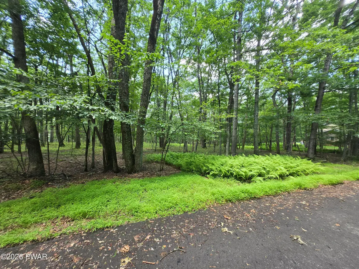Lot 17 Woodledge Hills Drive, Hawley, PA 18428 - #1