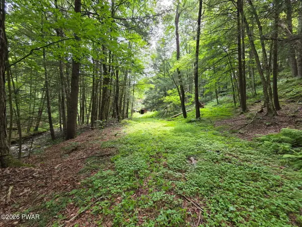 570 Pleasant Valley Road, Starrucca, PA 18462