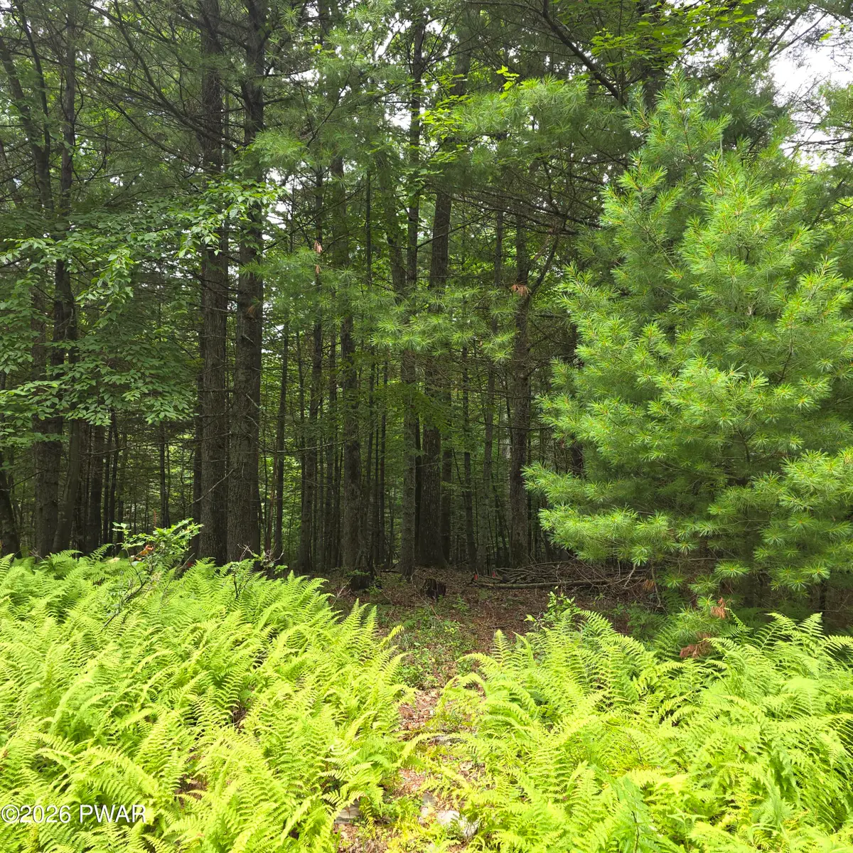 winfield Lot 4 Winfield Road, Lackawaxen, PA 18457 - #1